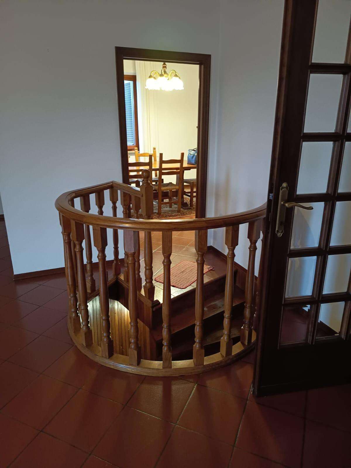  - foto 19
