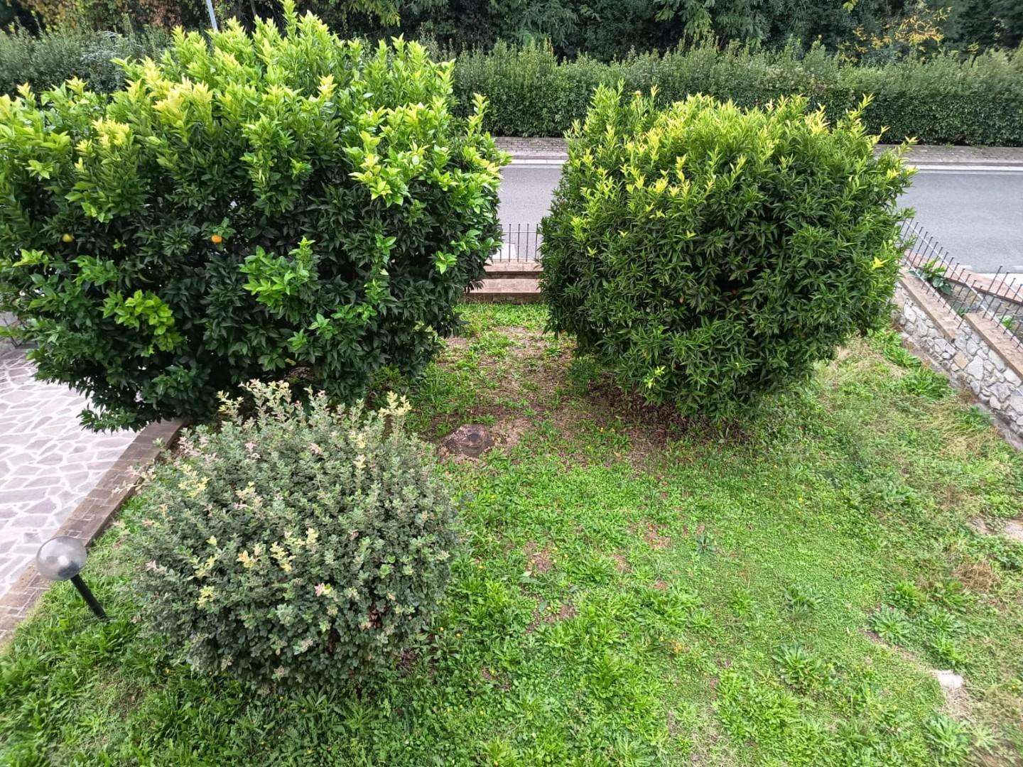  - foto 36
