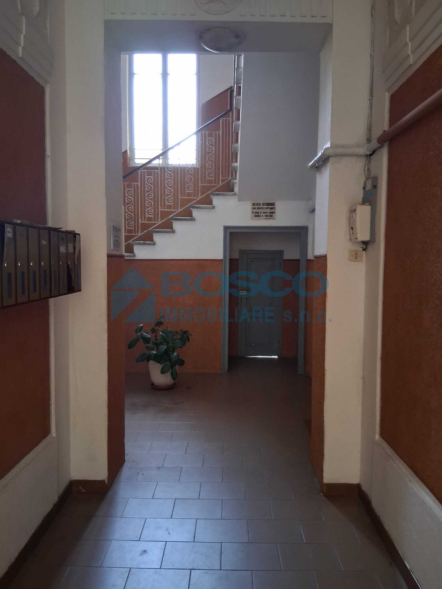  - foto 14