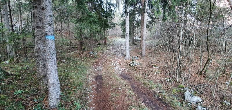  - foto 12