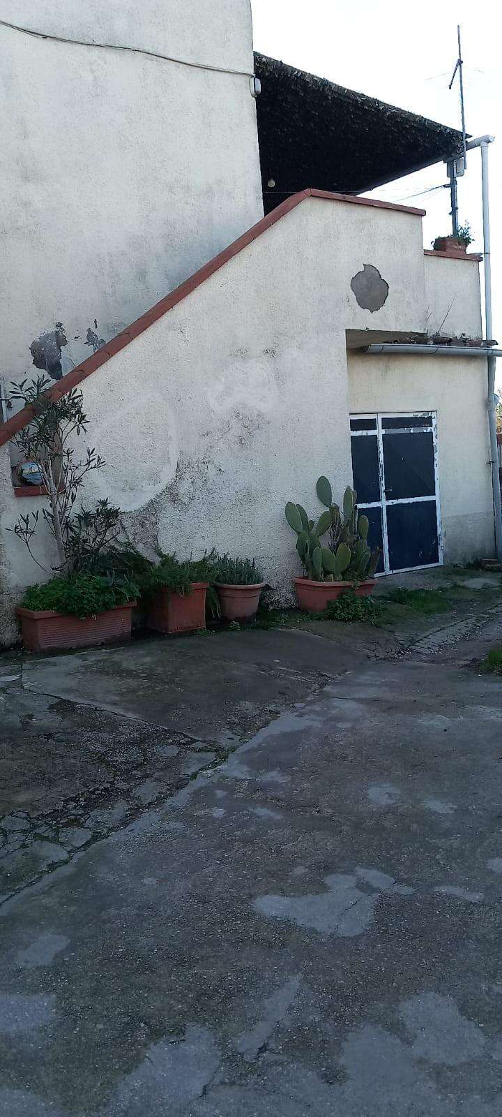  - foto 4