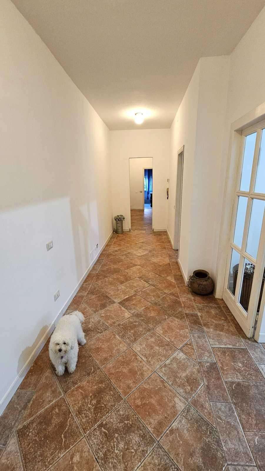  - foto 17