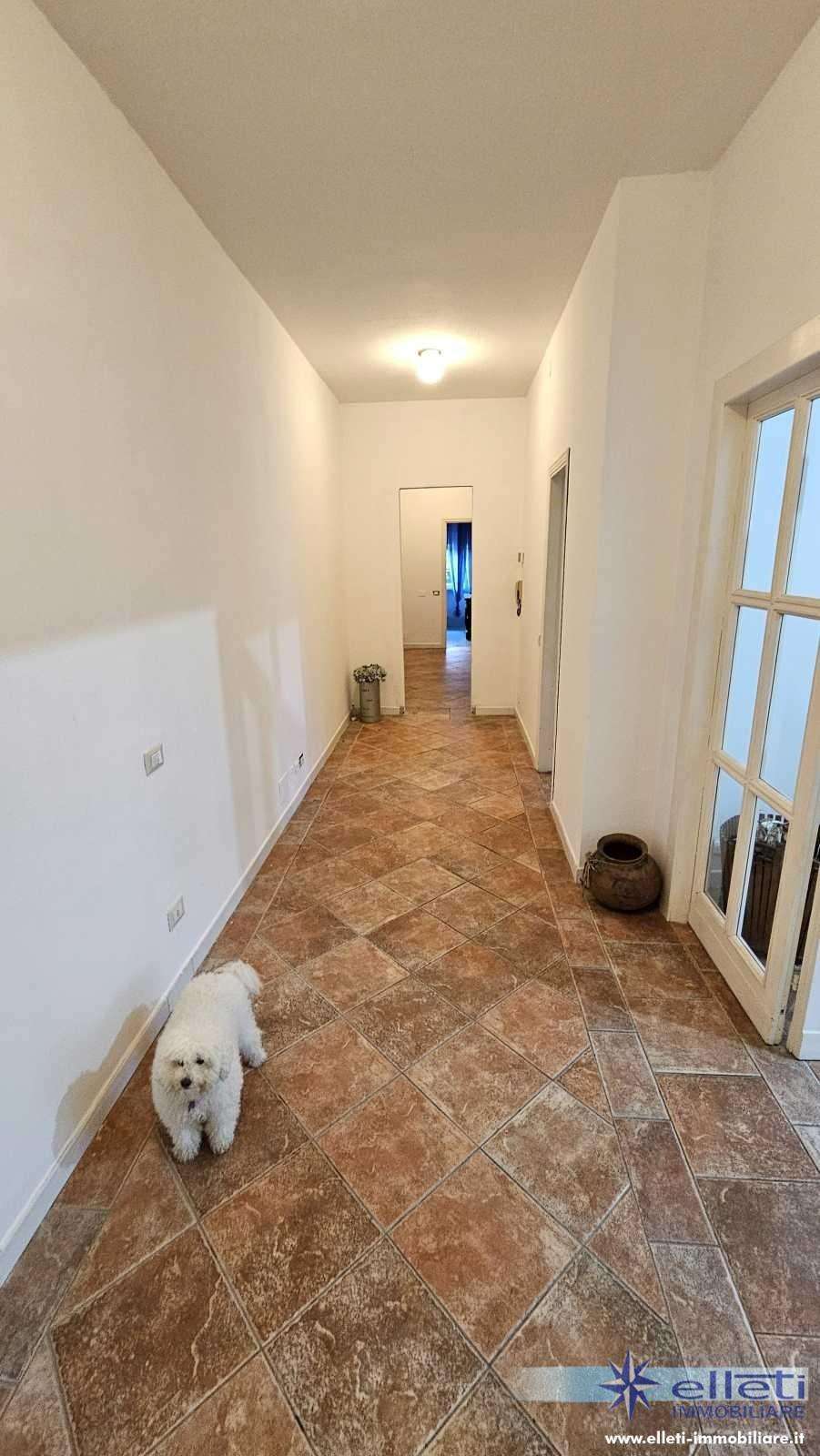 - foto 17