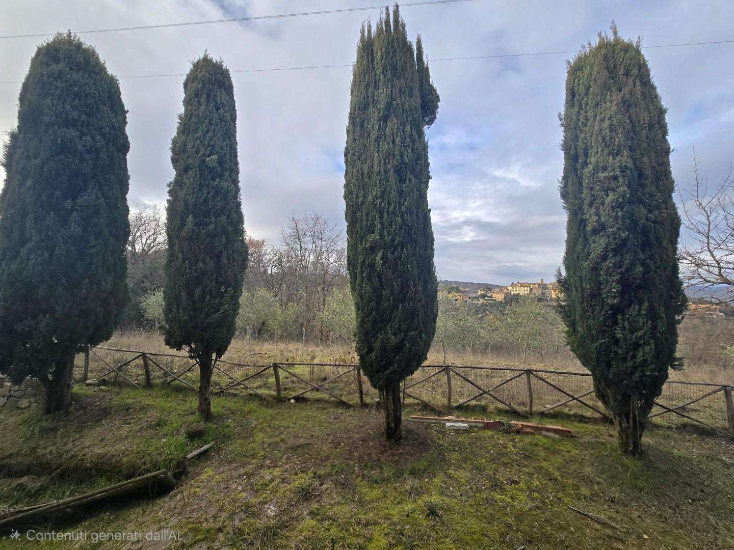  - foto 11