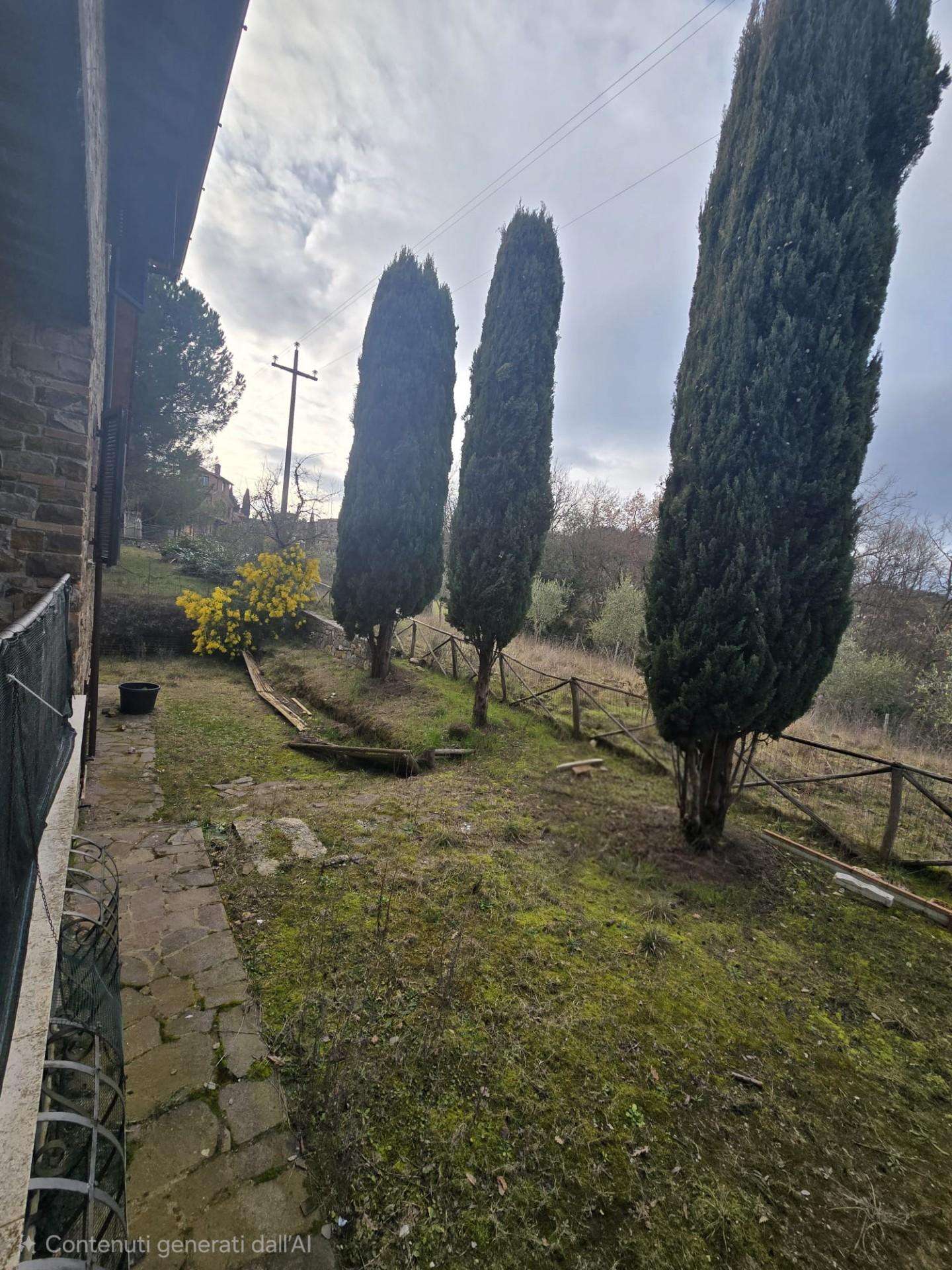  - foto 9