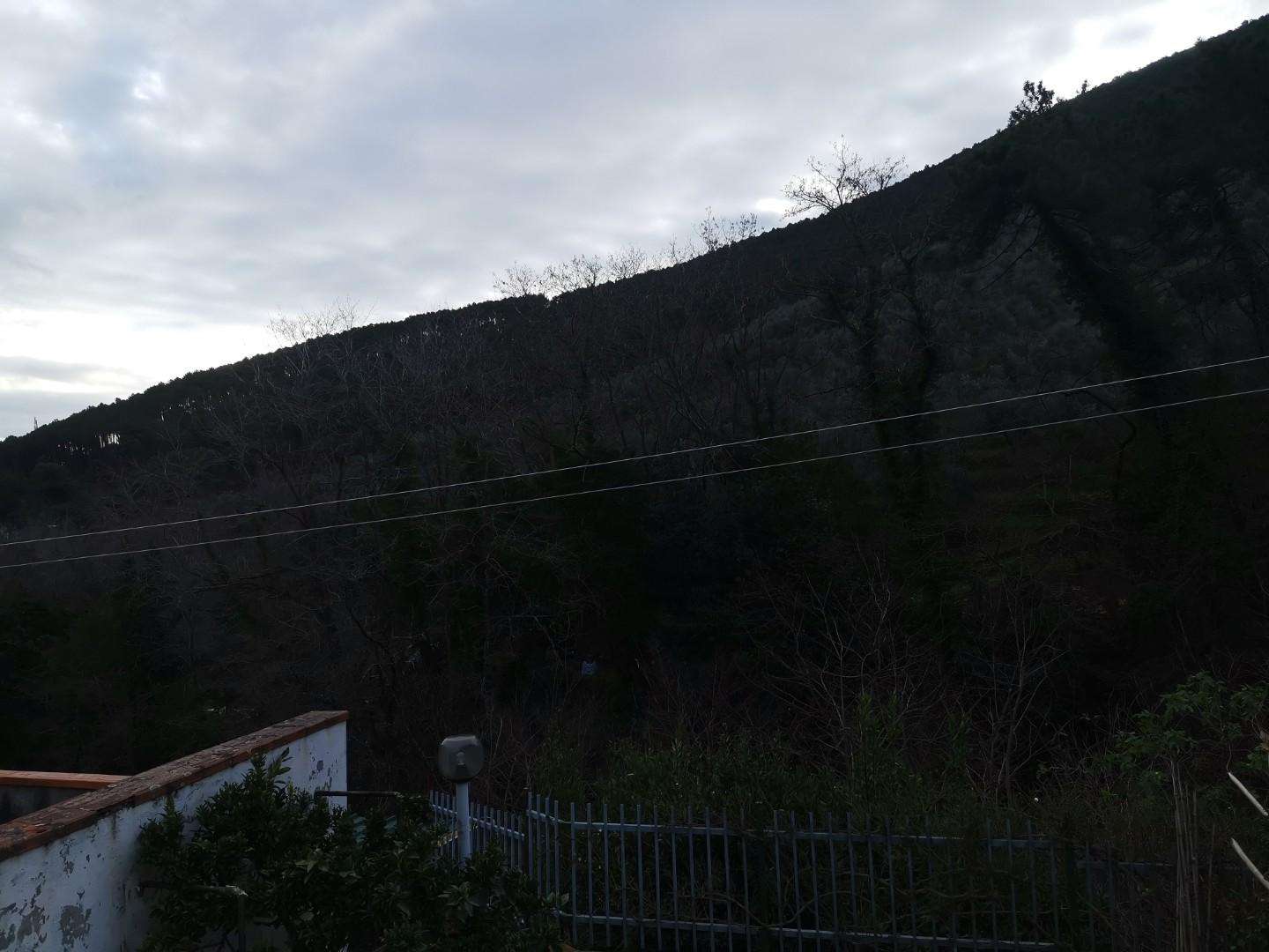  - foto 12