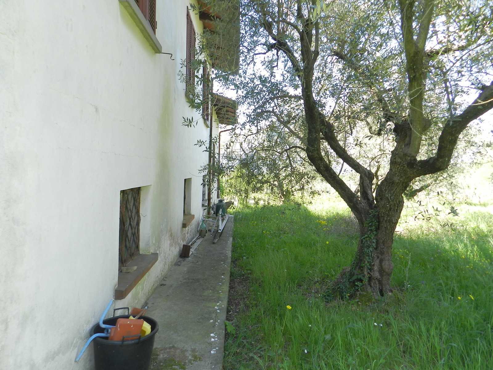  - foto 26