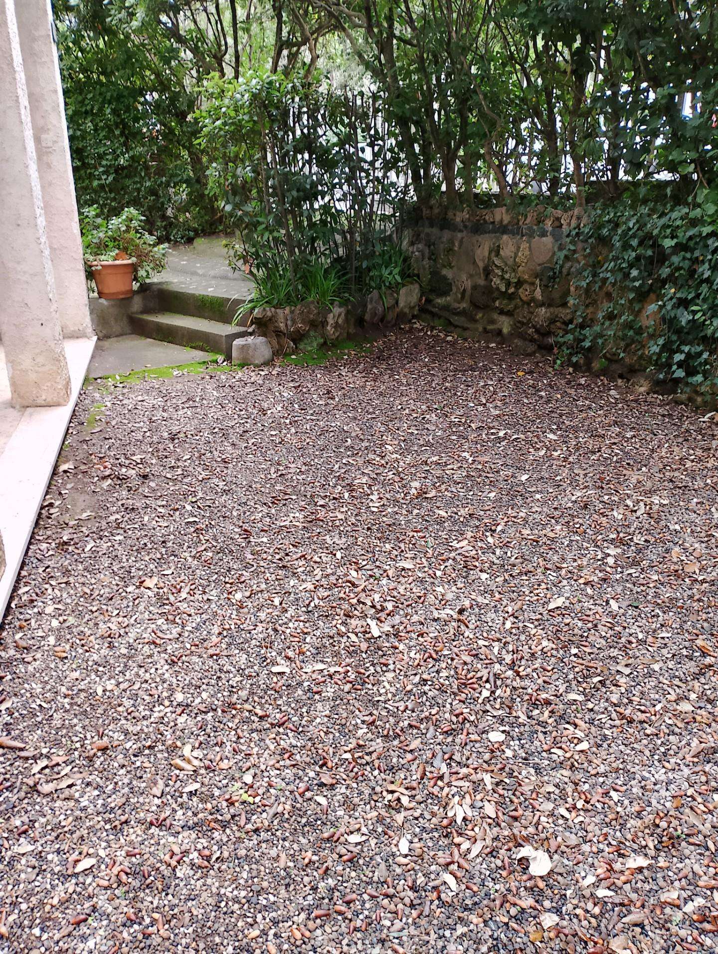  - foto 22