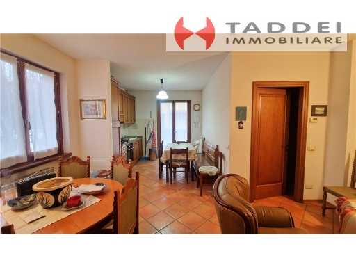  - foto 31
