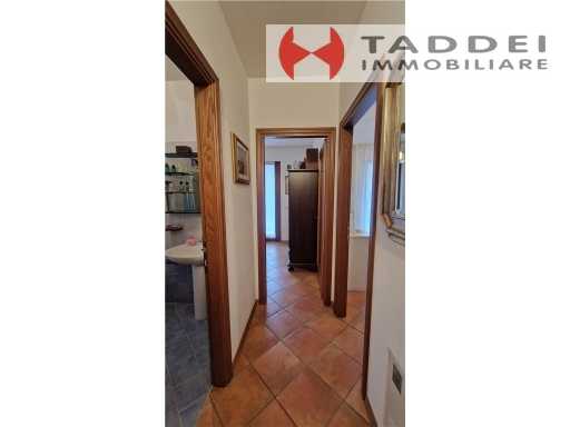  - foto 39