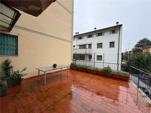  - foto 17
