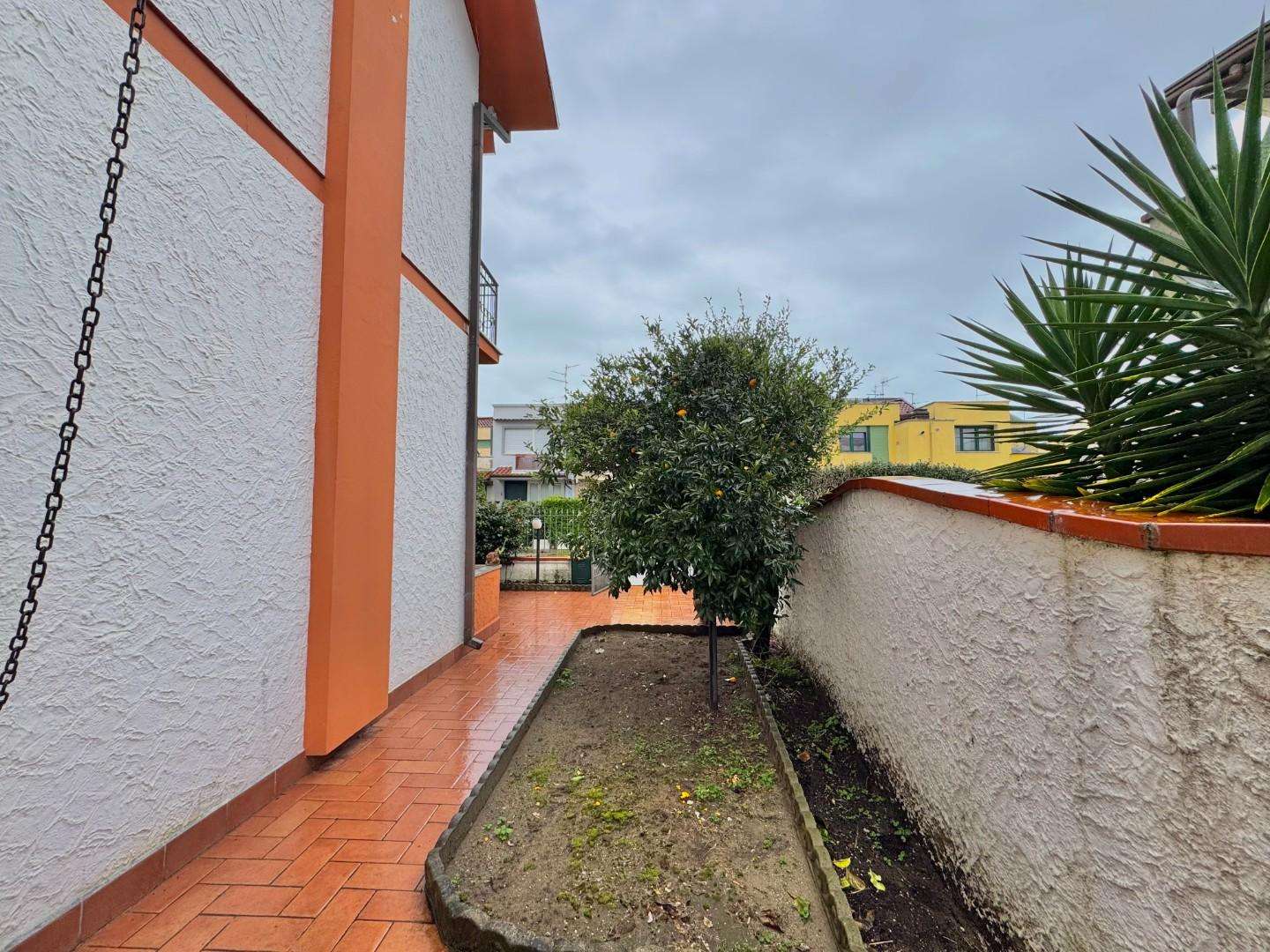  - foto 6