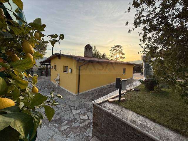  - foto 31