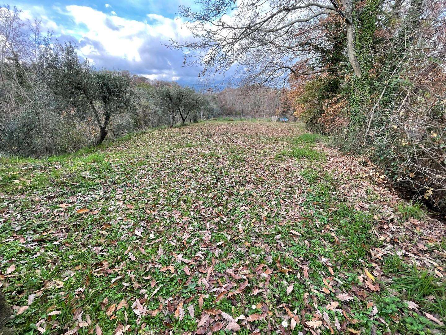  - foto 50