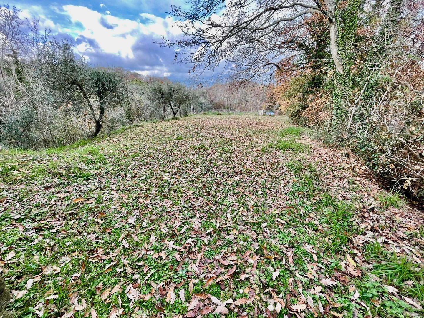  - foto 9