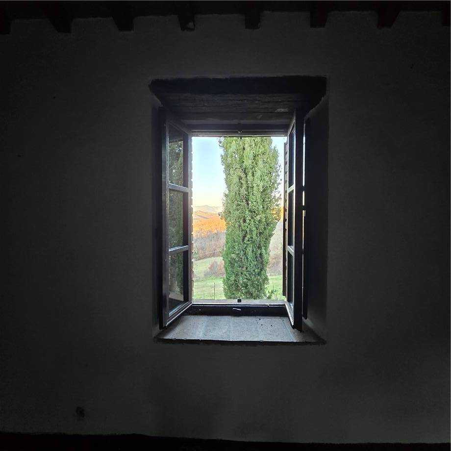  - foto 12