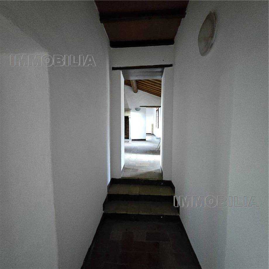  - foto 23