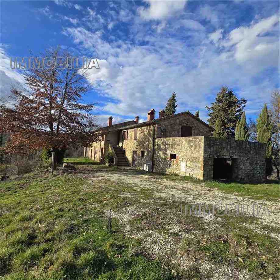  - foto 3