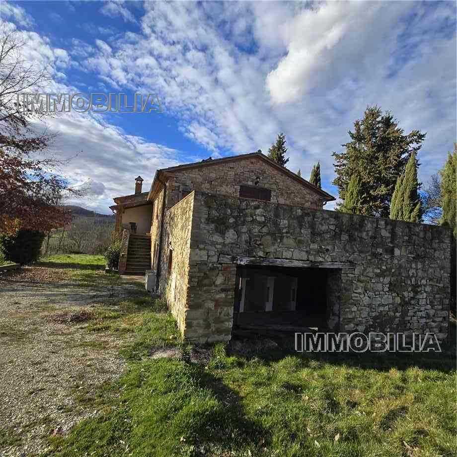  - foto 31