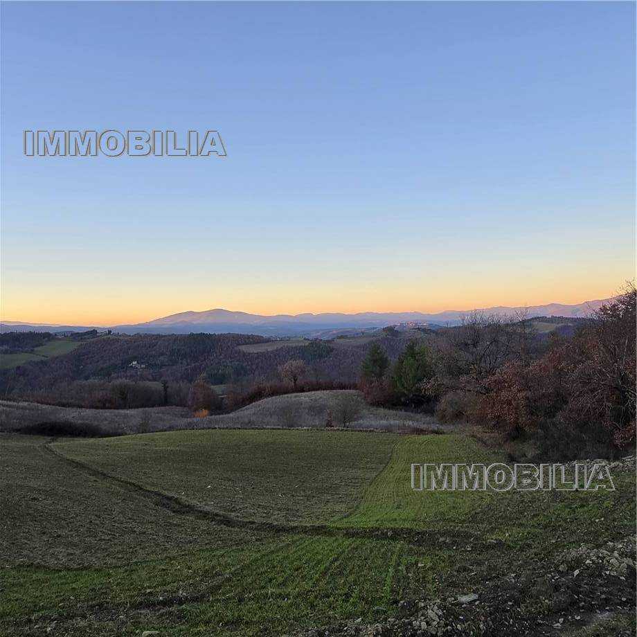  - foto 34