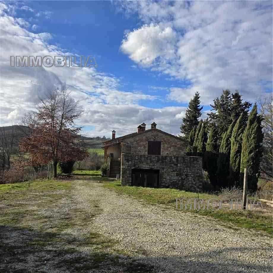  - foto 35