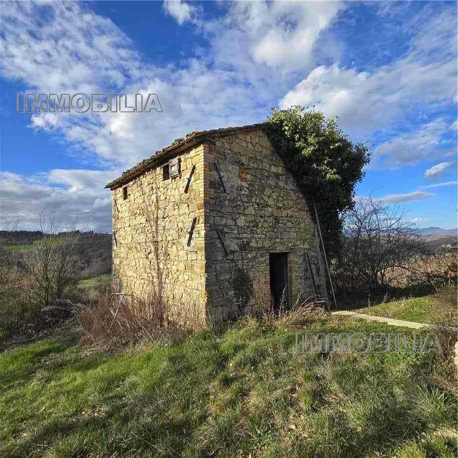  - foto 38