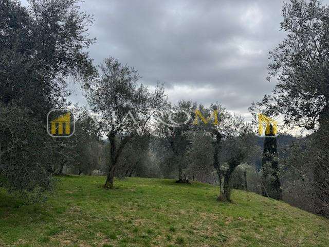  - foto 16