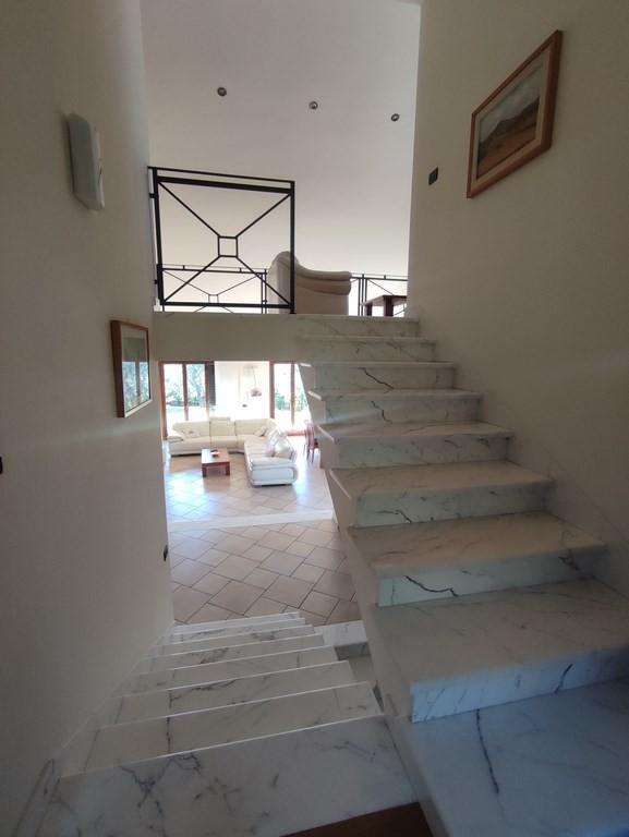  - foto 25