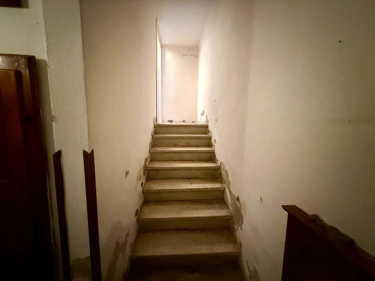  - foto 24