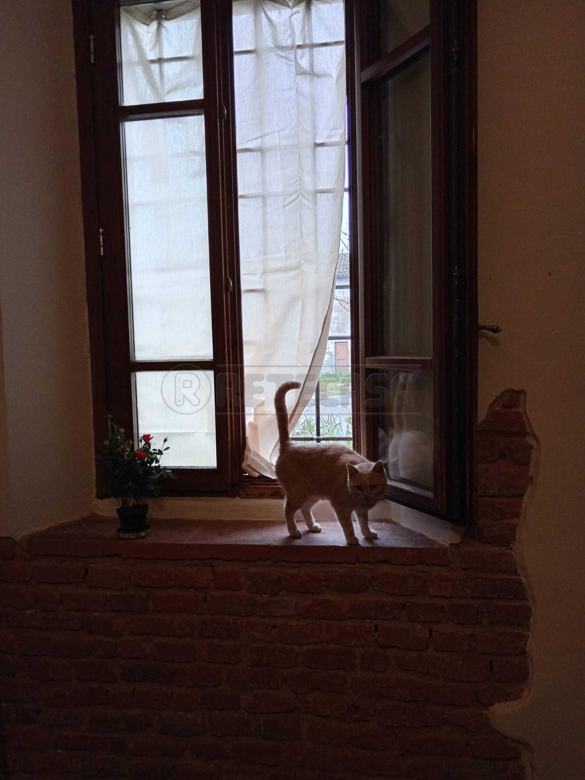  - foto 10