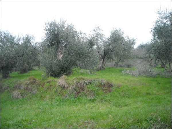  - foto 19