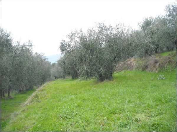  - foto 20