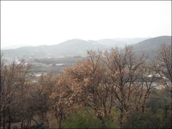  - foto 9