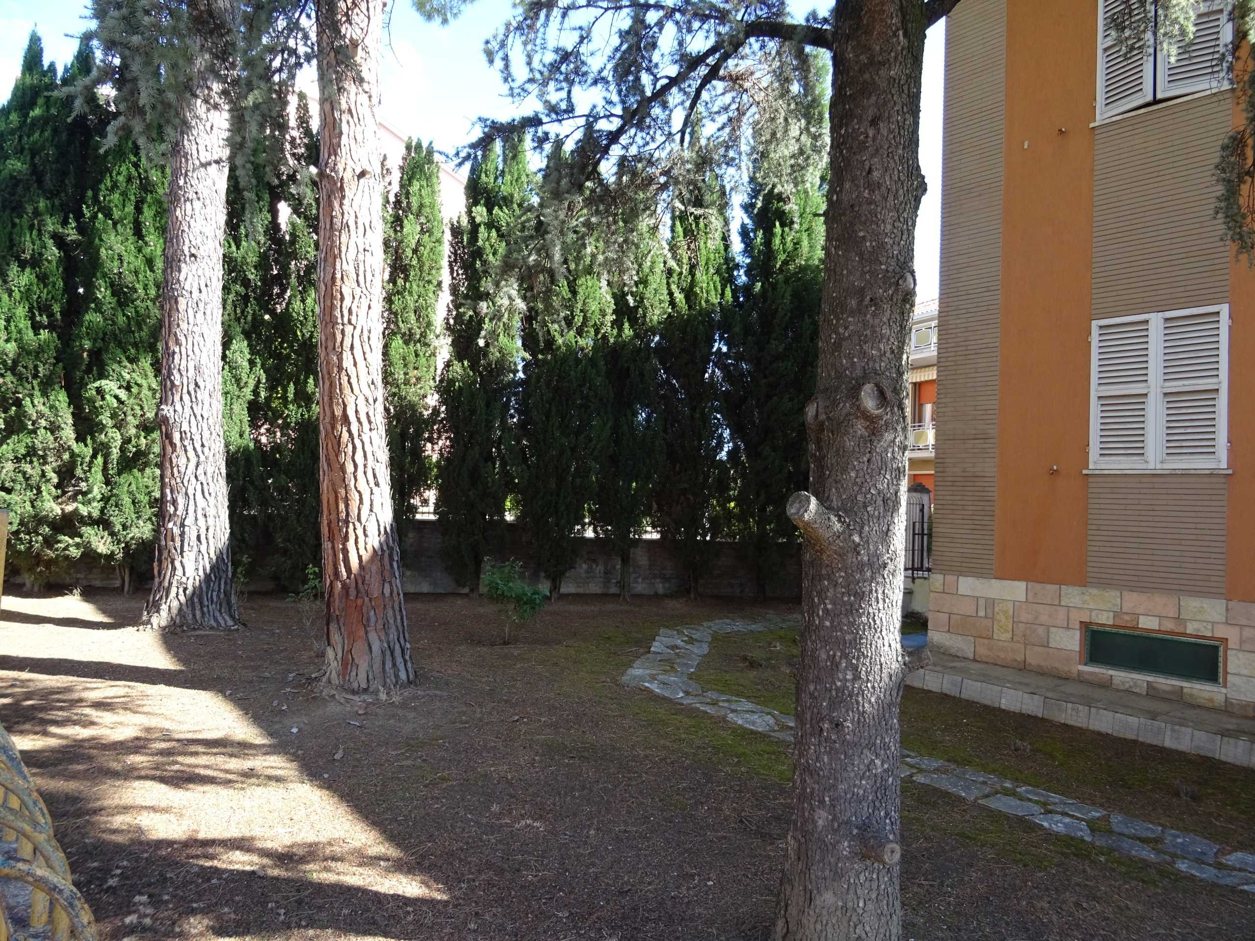  - foto 6
