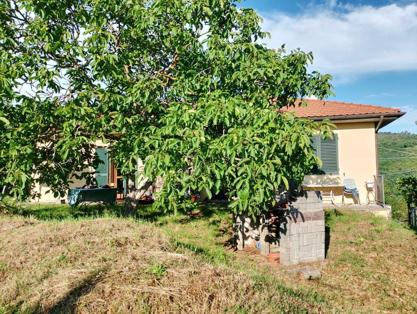  - foto 15