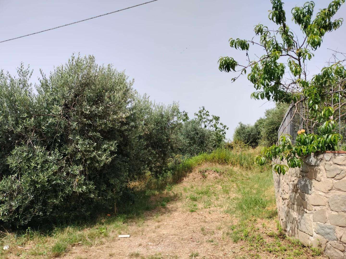  - foto 17