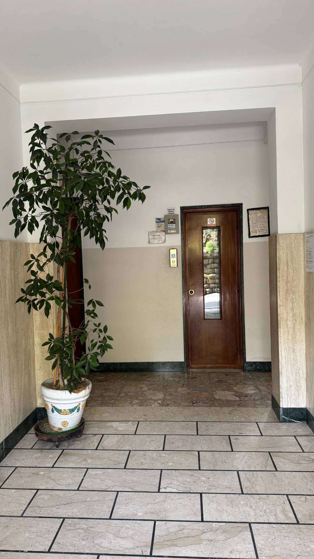  - foto 55