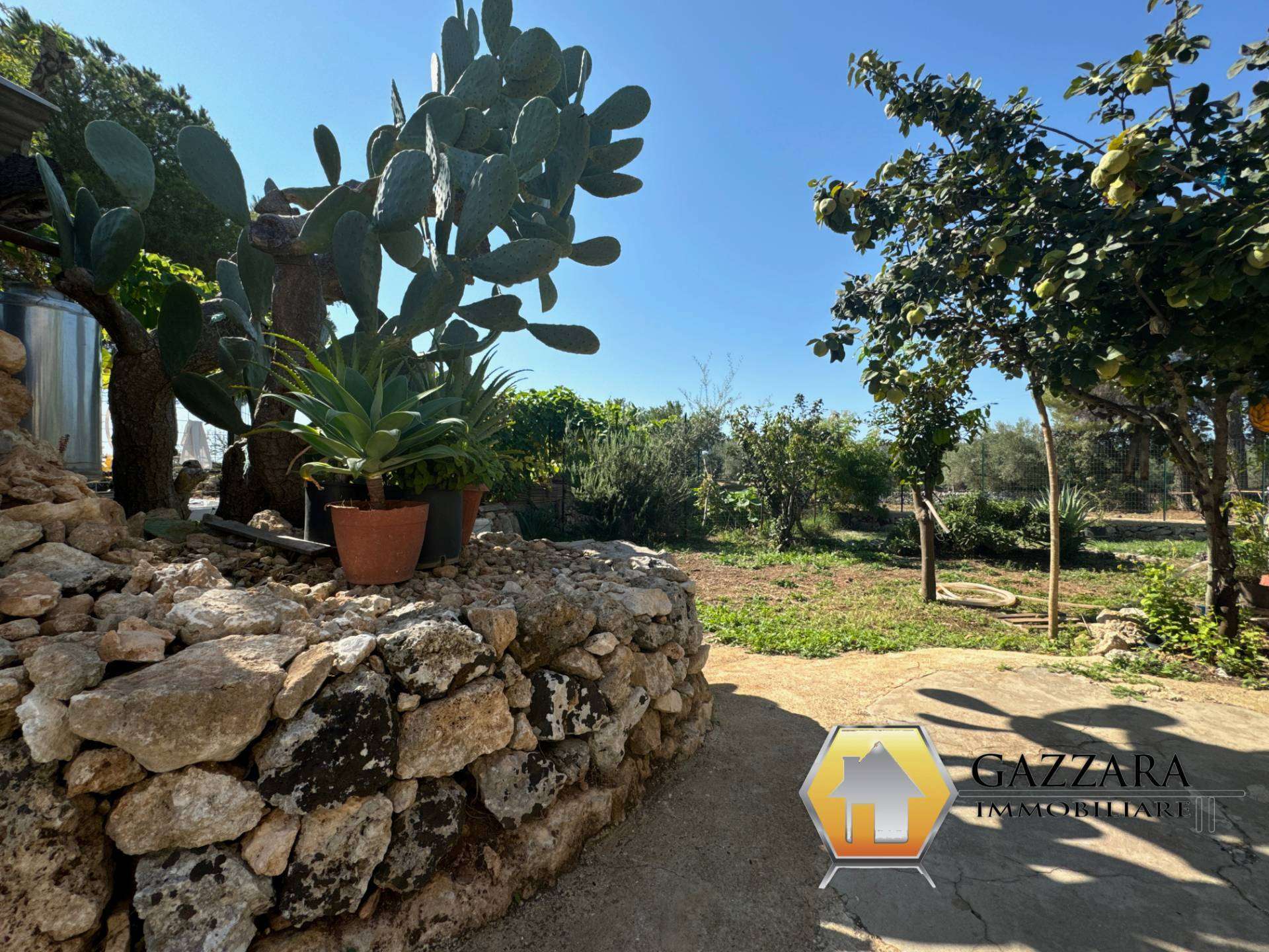  - foto 12