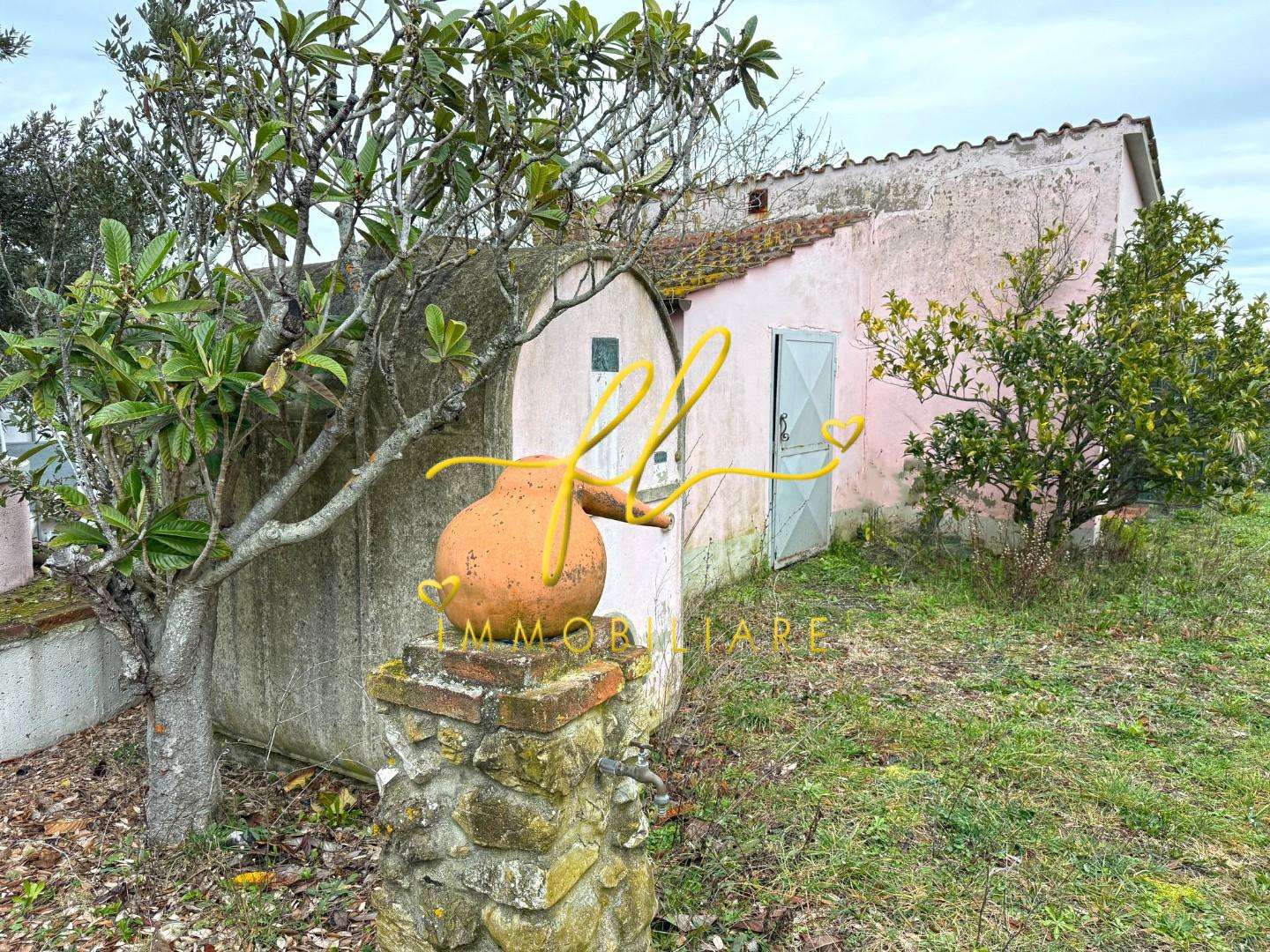  - foto 5