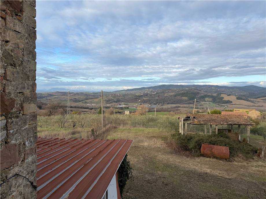  - foto 11
