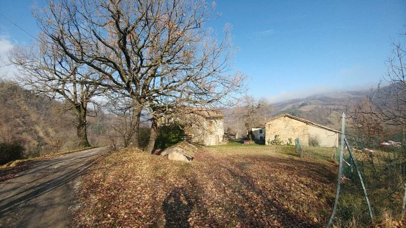  - foto 31