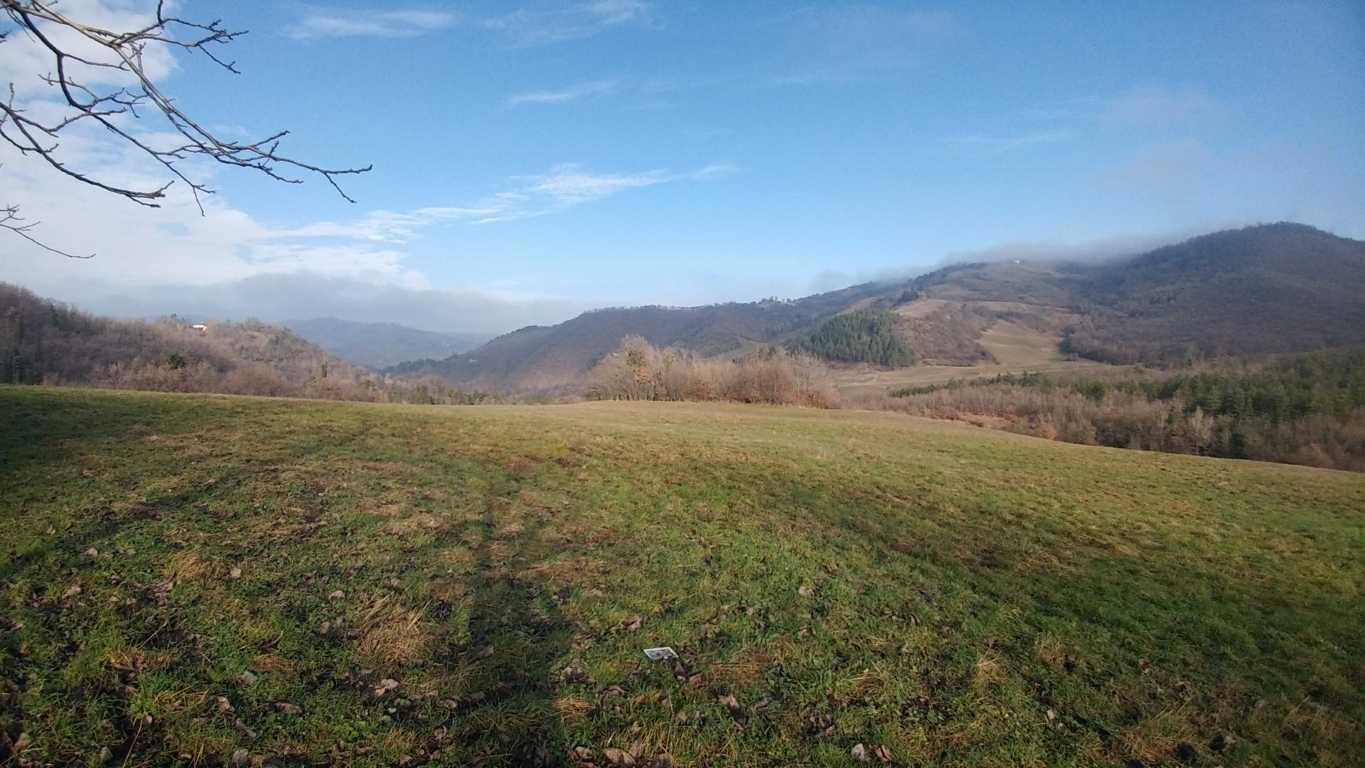  - foto 35