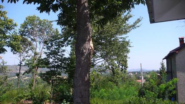  - foto 15