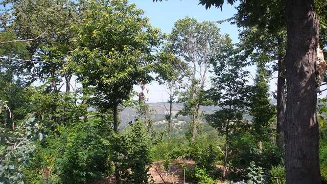  - foto 16