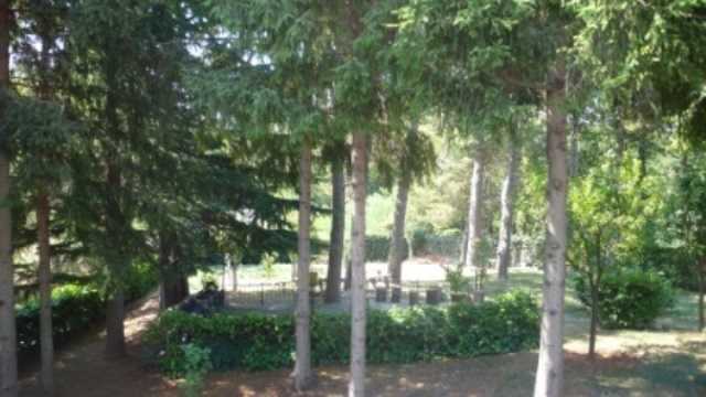 - foto 18
