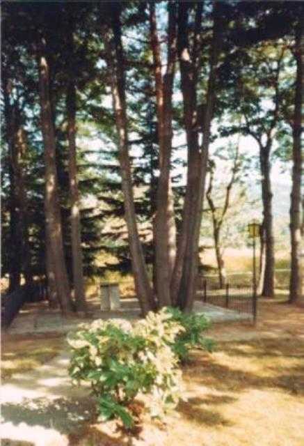  - foto 7