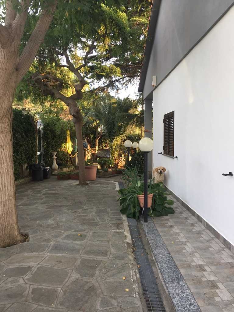  - foto 6