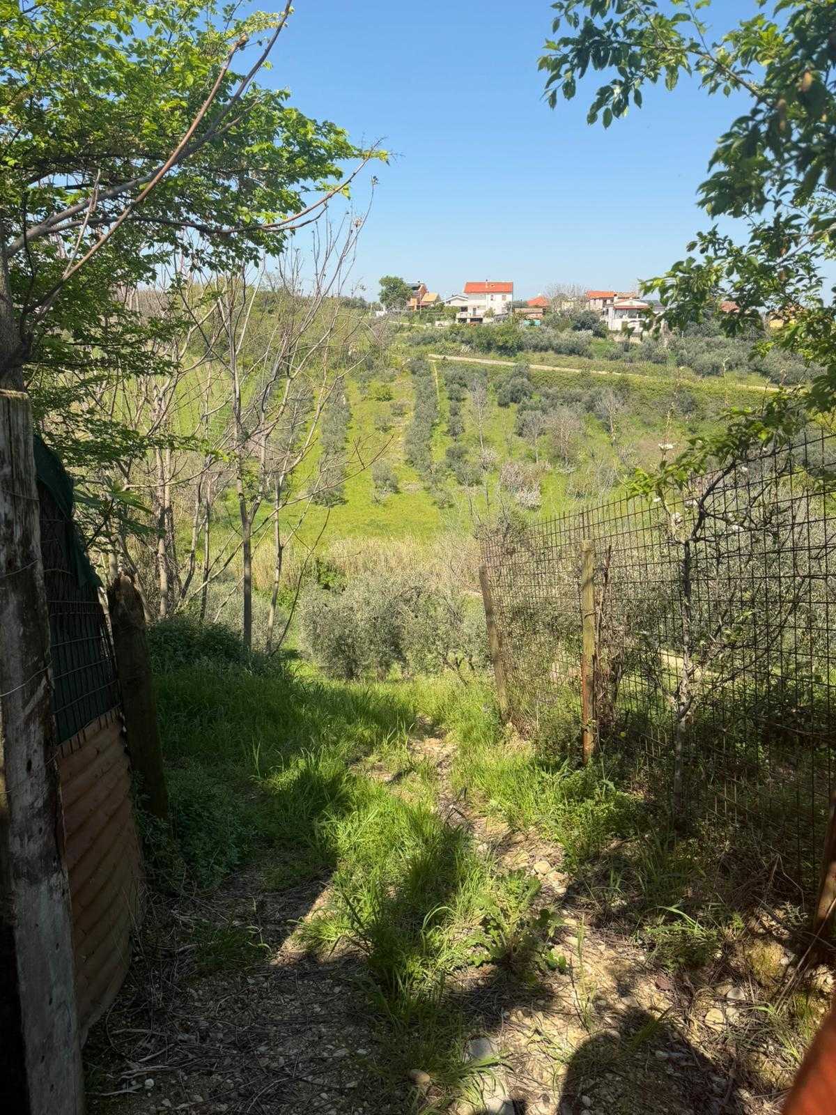 - foto 67