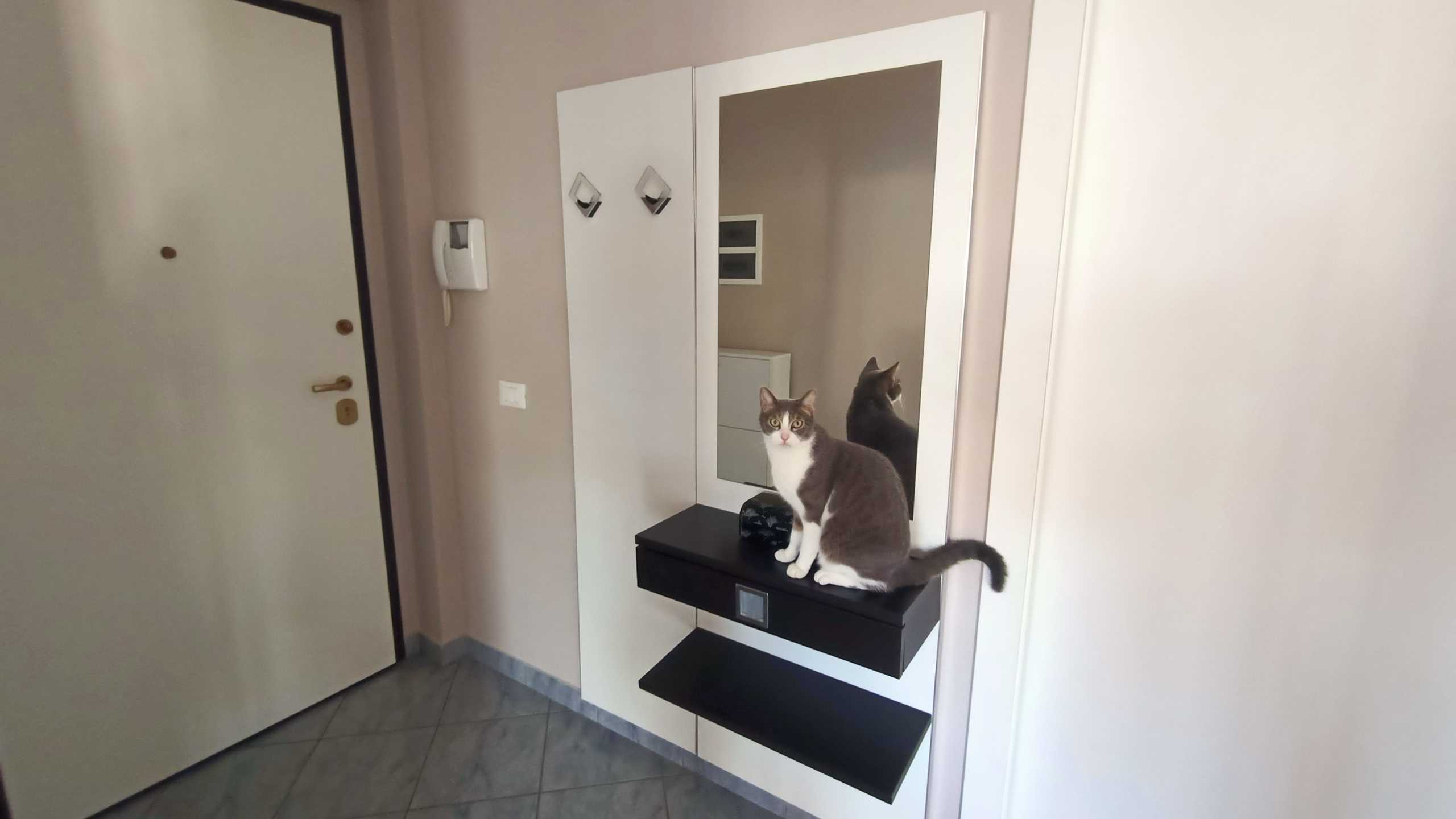  - foto 4