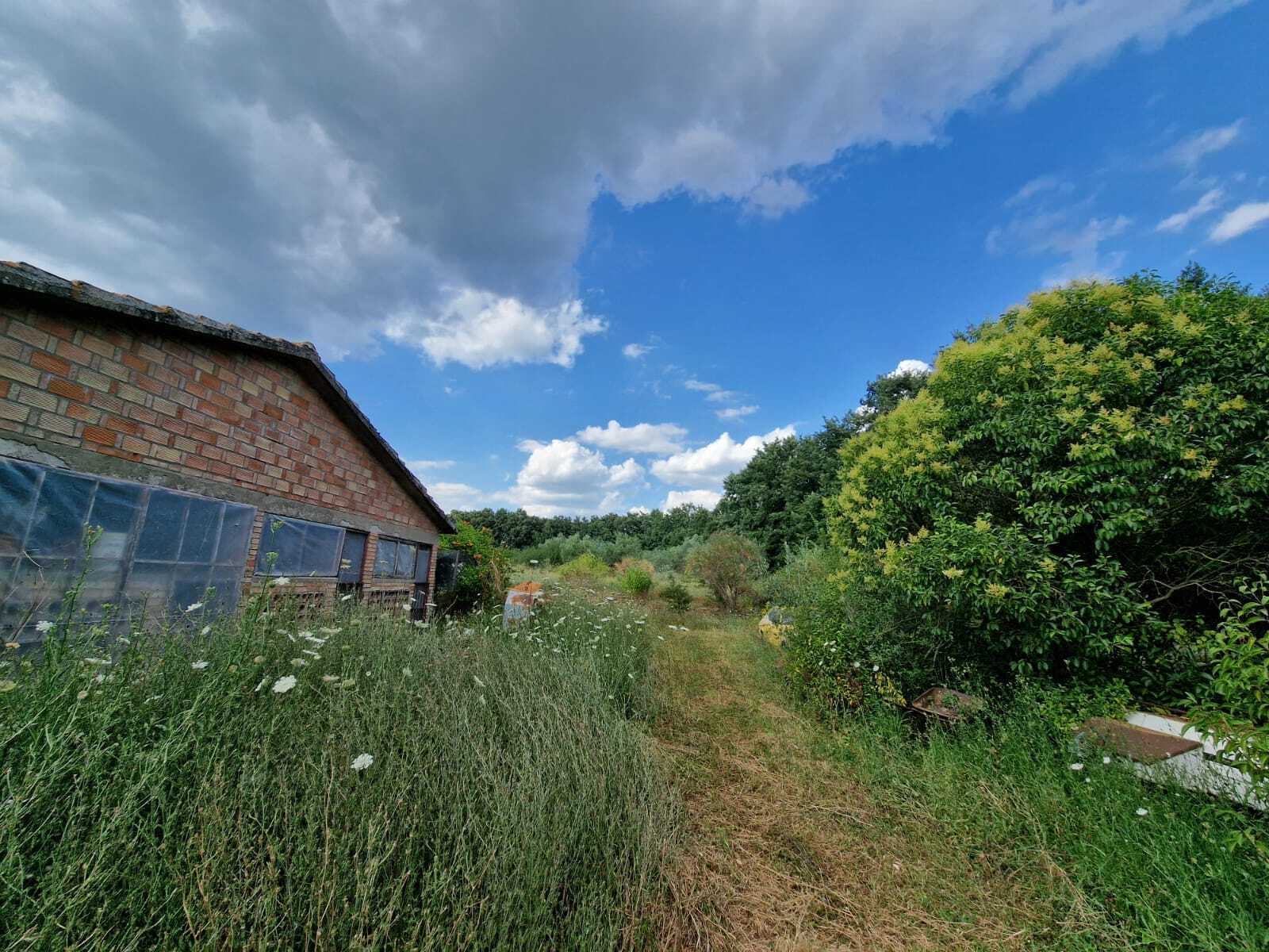  - foto 10